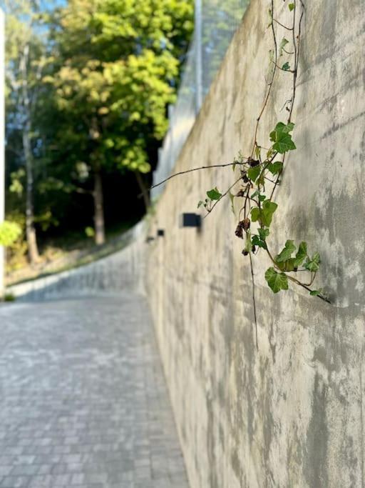 Art & Sunski Z Garazem Podziemnym Apartmán