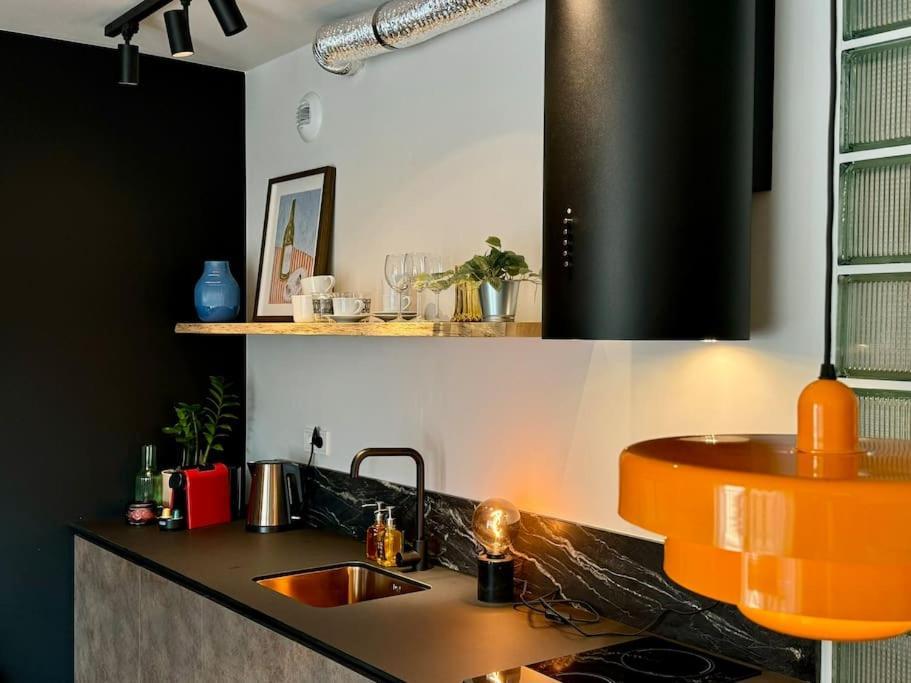 Art & Sunski Z Garazem Podziemnym Apartmán Krynica Zdroj